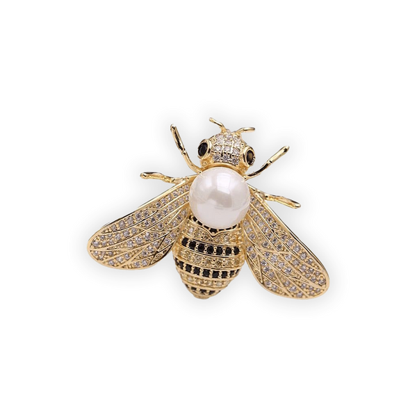 Cicada