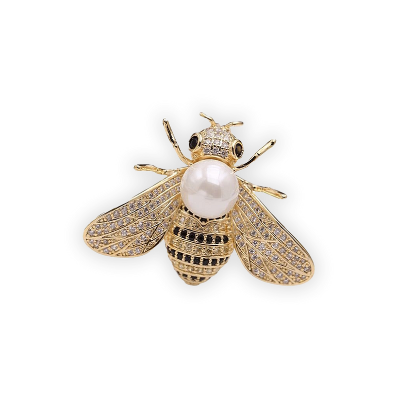 Cicada