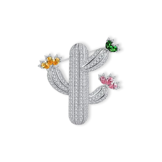 Grandpa Cactus