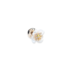 Little Shine
