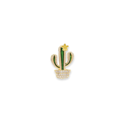 Mini Cactus