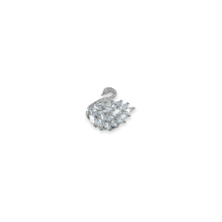 Swan