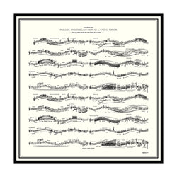 Musical Notation Scarves Shop At Forest White 